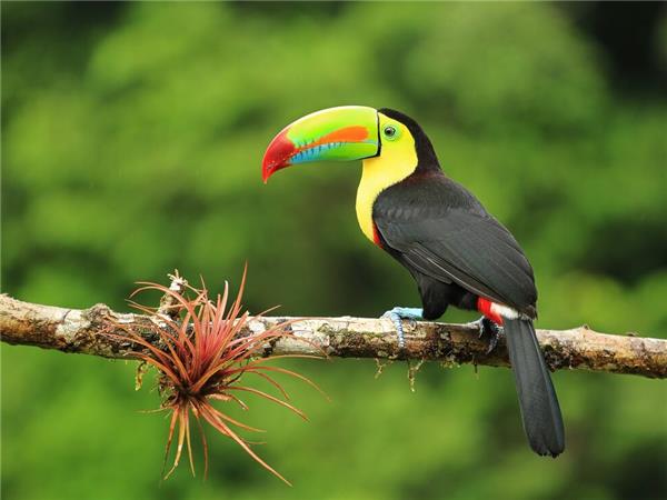 Central America vacation on a budget