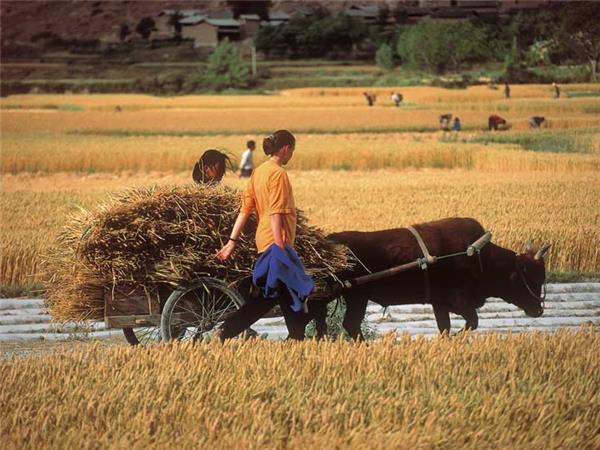 Cycling vacation to Indochina and Angkor Wat