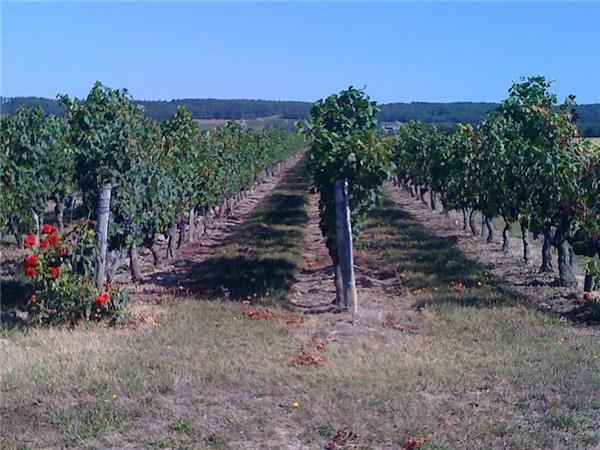 Loire Valley cycling vacation in France