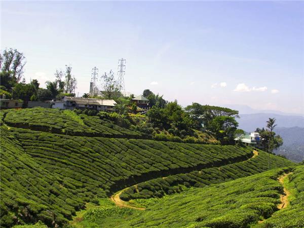 Tamil Nadu to Kerala cycling vacation, India