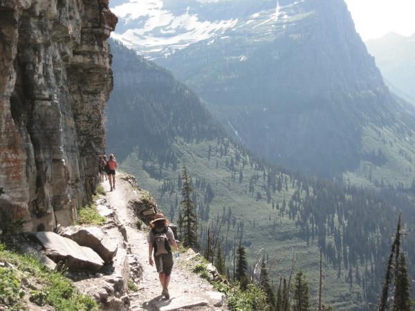 Yellowstone and Grand Teton wildlife vacation