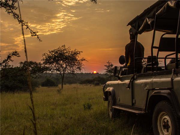 Uganda and Rwanda Gorilla vacation