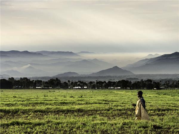 Uganda and Rwanda Gorilla vacation