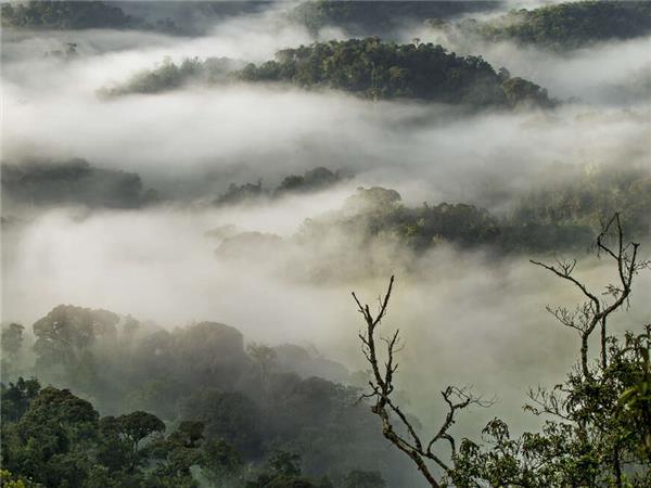 Uganda and Rwanda Gorilla vacation