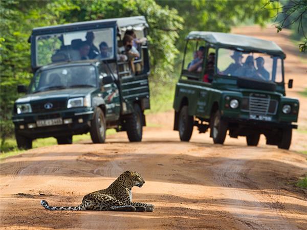 Family vacation to Sri Lanka