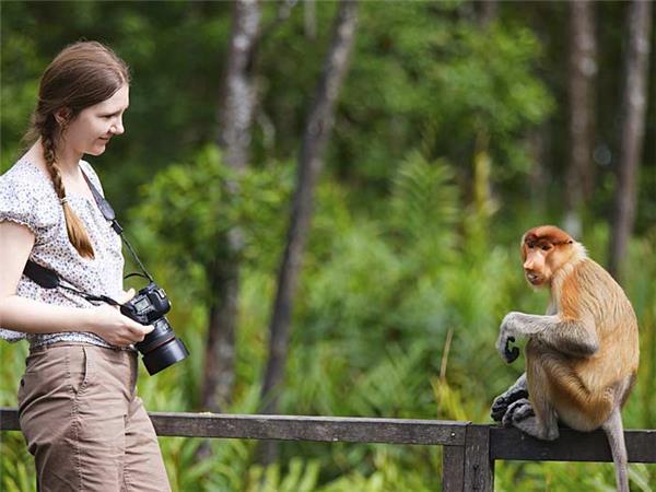 Family vacation to Borneo