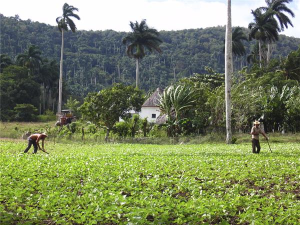 Cuba cycling tour