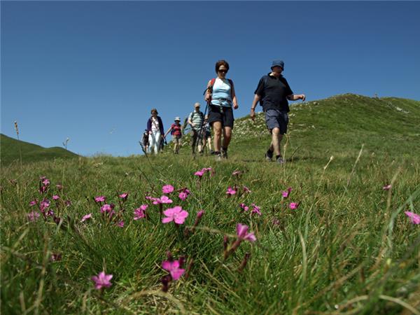 Walking vacation in Tuscany