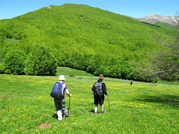 Walking vacation in Tuscany