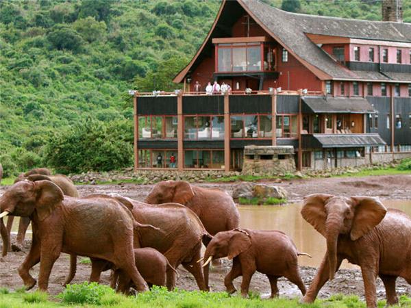 Highlights of Kenya small group vacation