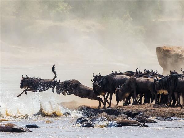 Highlights of Kenya small group vacation
