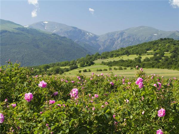 Bulgaria small group vacation