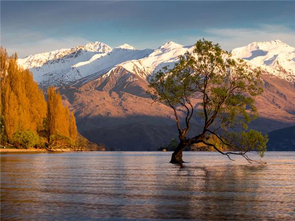 New Zealand holiday, small group