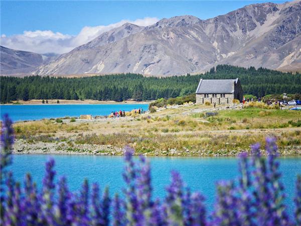 New Zealand holiday, small group