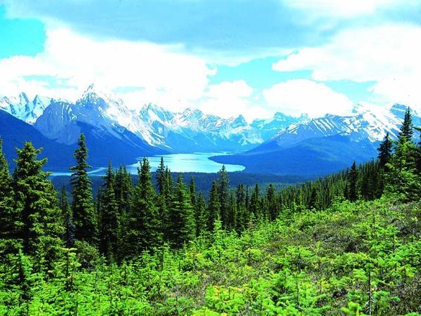 Canadian Rockies adventure vacation