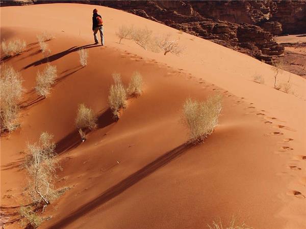 Walking vacation in Jordan