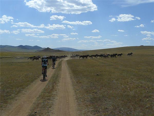 Mongolia cycling vacation