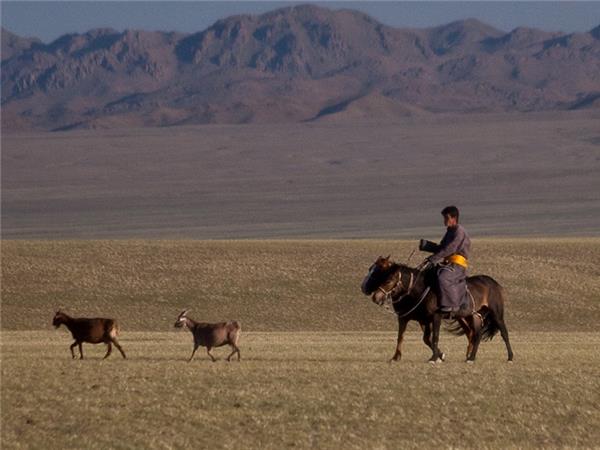 Mongolia cycling vacation