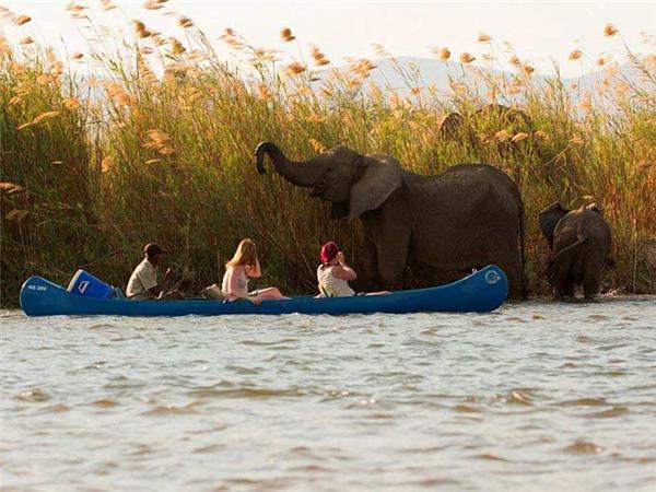 Small group safaris to Zambia