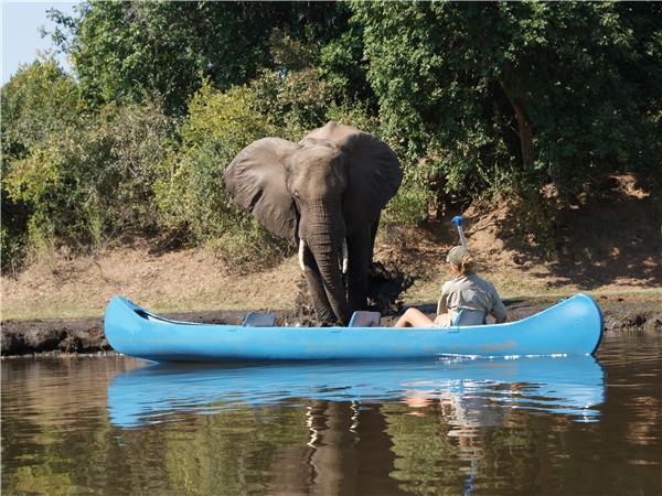 Zambezi canoe safari, Zambia