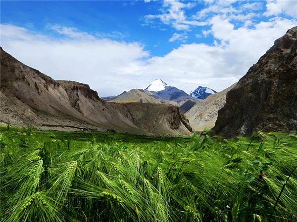 Trekking vacation in Ladakh, The Markha Valley trek