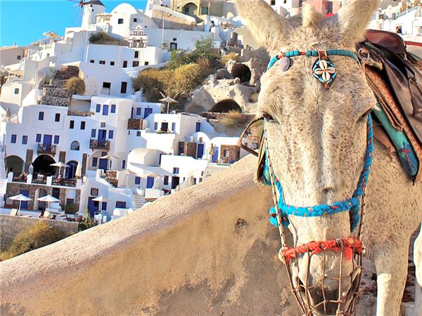 Athens to Santorini tours
