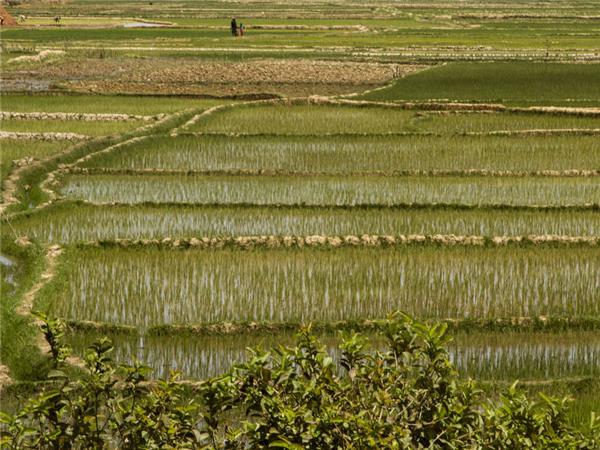 Madagascar vacations, The lost continent