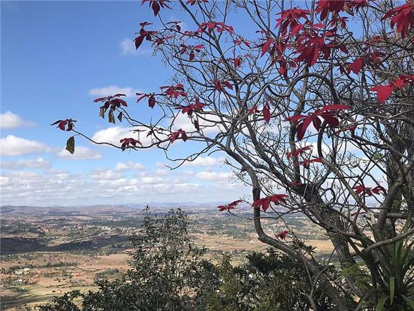 Madagascar vacations, The lost continent