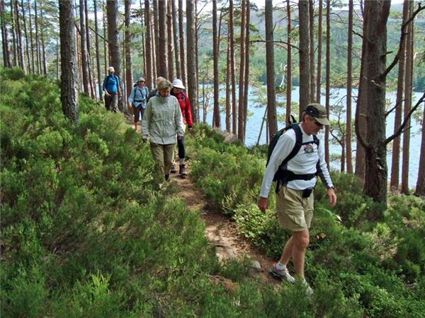 Scottish Highlands wildlife vacation