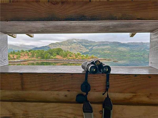 Scottish Highlands wildlife vacation 