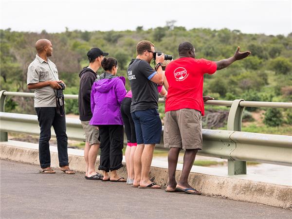 Kruger, coast and cape vacation in Southern Africa