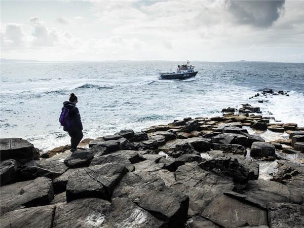 Mull, Staffa and Iona wildlife tour in Scotland