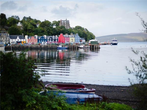 Mull, Staffa and Iona wildlife tour in Scotland