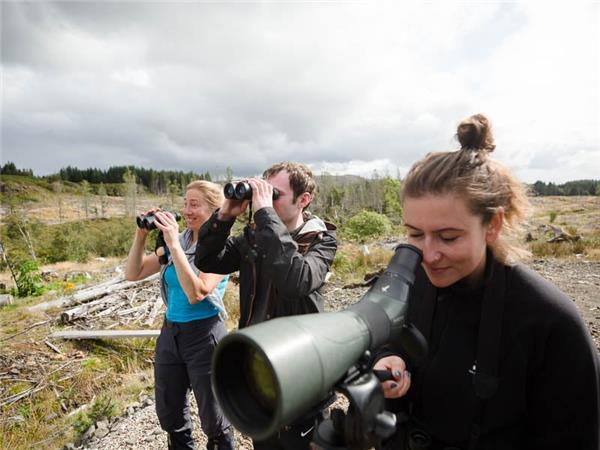 Mull, Staffa and Iona wildlife tour in Scotland