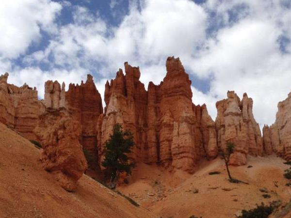West Coast tours in America