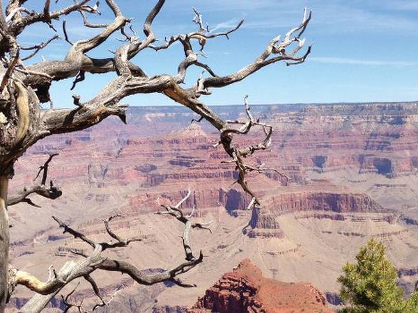 West Coast tours in America