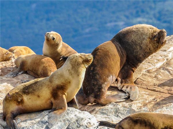 Adventure vacation in Patagonia