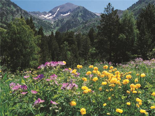 Pyrenees walking vacation in Andorra