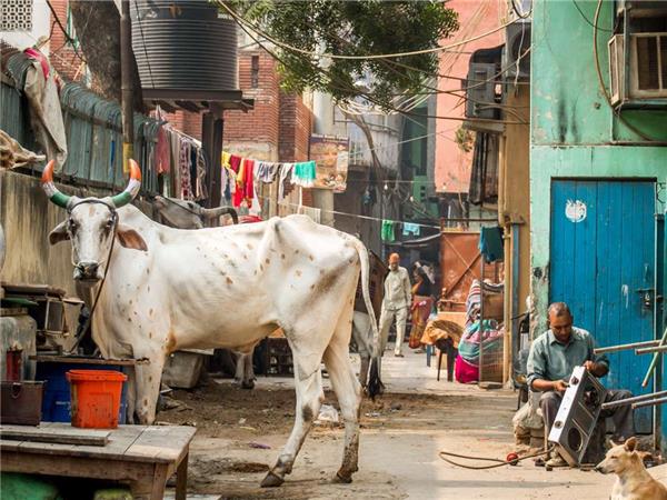 Delhi to Kathmandu tour