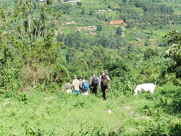 Rwanda & Uganda vacation, with added comfort