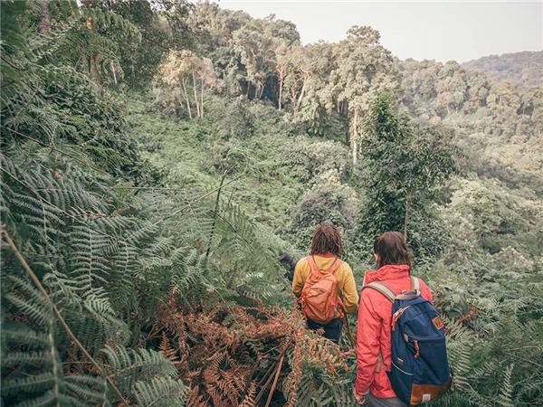 Rwanda & Uganda vacation