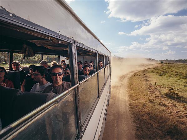 Gorilla safari and game parks, Uganda