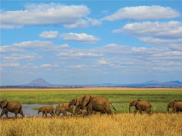 Tanzania holiday, small group