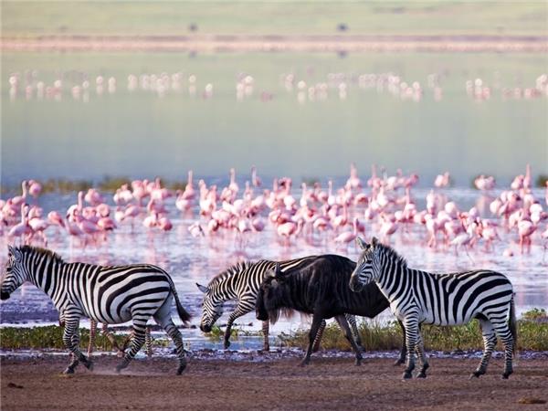 Premium Tanzania holiday, small group
