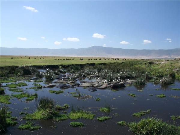 Premium Tanzania holiday, small group