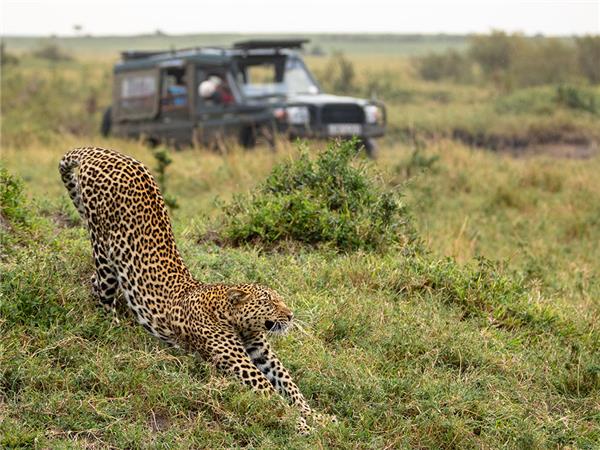 Premium Kenya small group vacation
