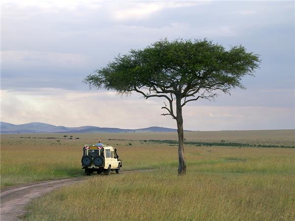Premium Kenya small group vacation