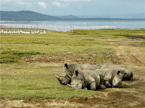 Premium Kenya small group vacation