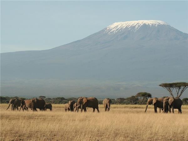 Kilimanjaro trek, Rongai Route