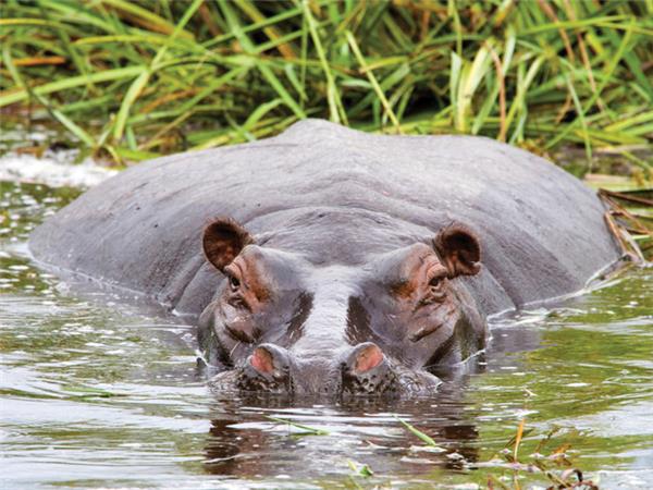Southern Africa vacation
